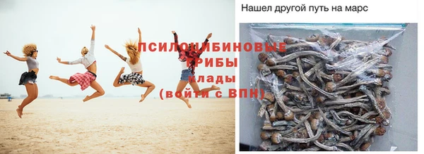 бошки Нефтегорск