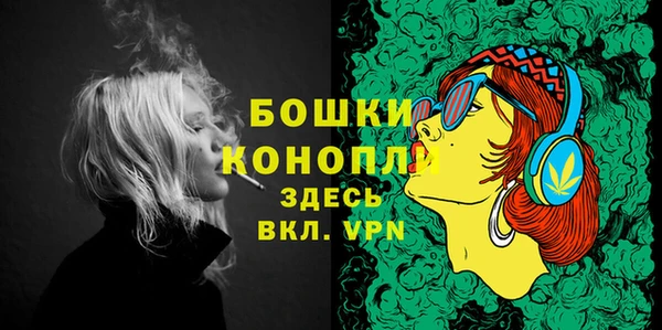 дмт Нея