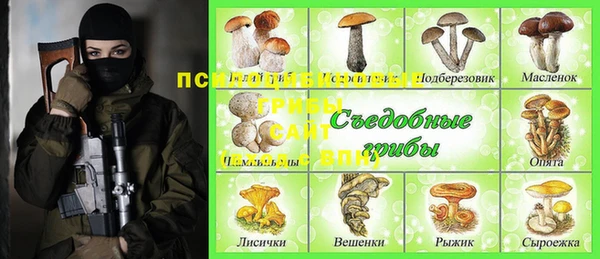 дмт Нея